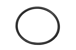 Victor Reinz Crankcase Breather O-Ring - N90106101